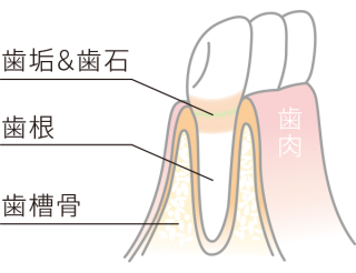 正常な状態